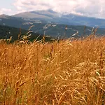 Dom wakacyjny Urlaub Im Zirbenland