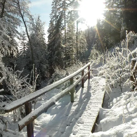 Urlaub Im Zirbenland * Obdach