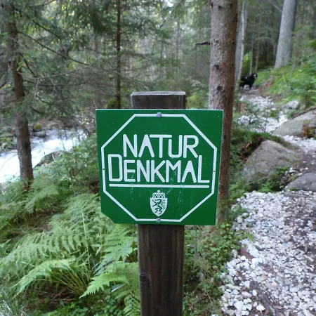 Urlaub Im Zirbenland *