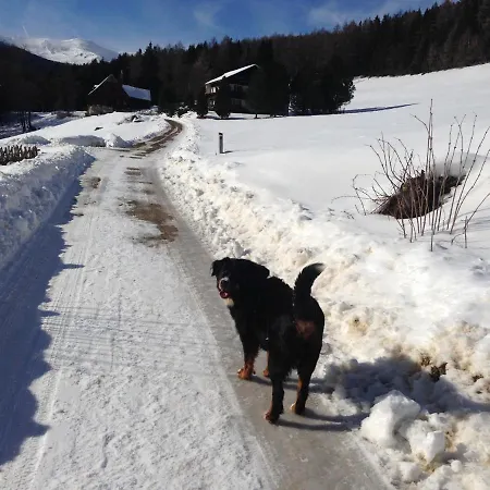 Tatil Evi Urlaub Im Zirbenland