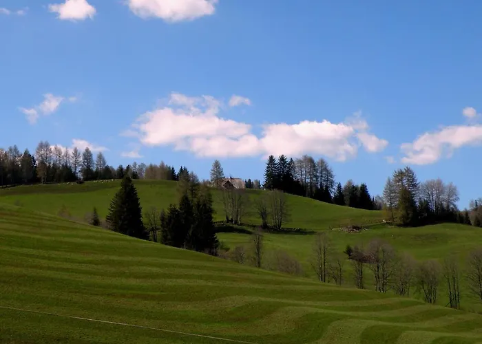 Nyaraló Urlaub Im Zirbenland Obdach