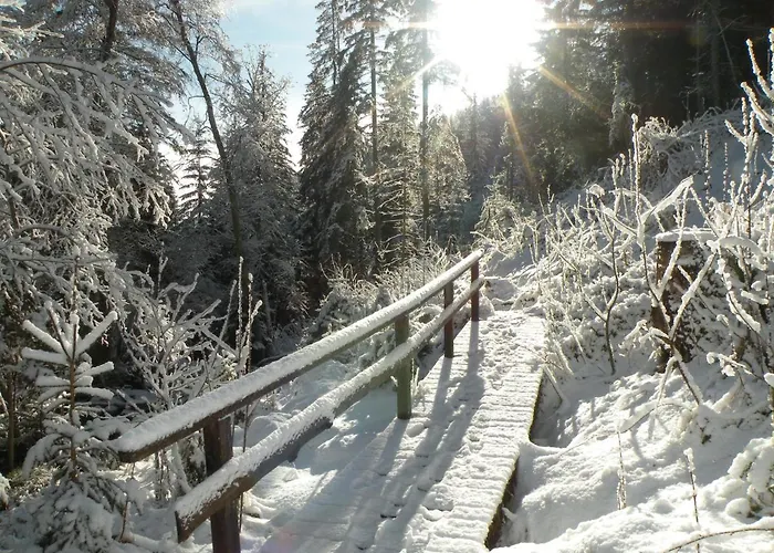 Urlaub Im Zirbenland * Obdach