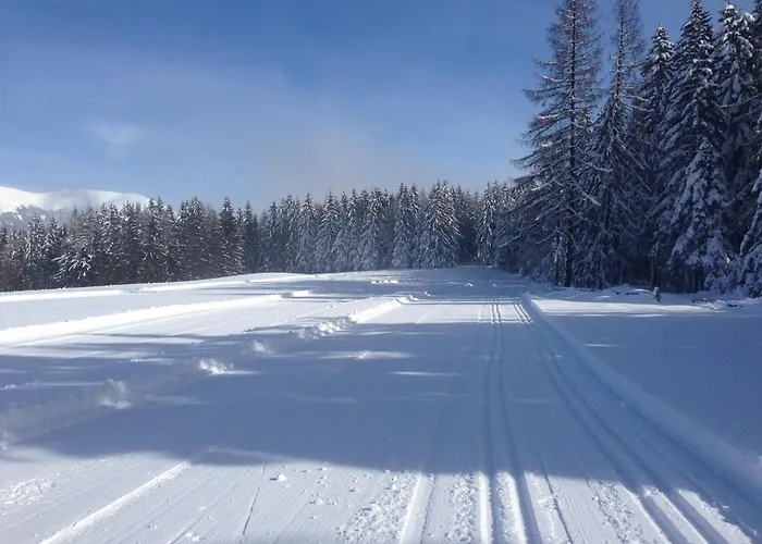 Nyaraló Urlaub Im Zirbenland Obdach
