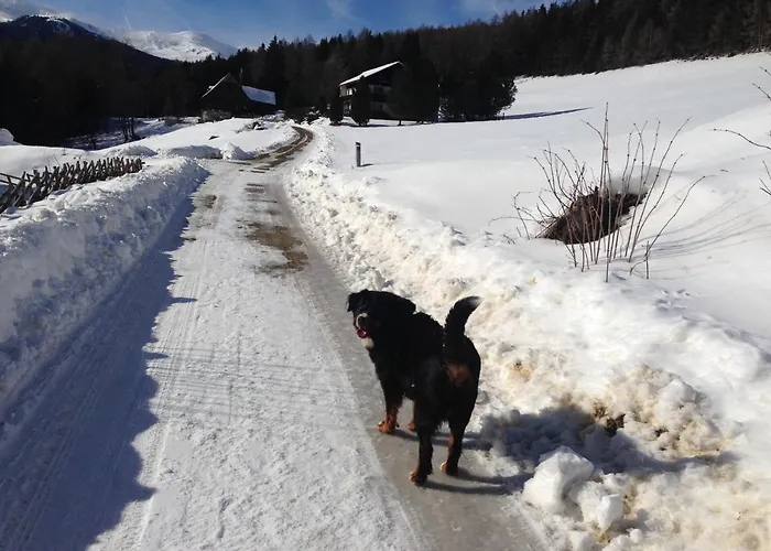 Nyaraló Urlaub Im Zirbenland