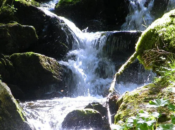 Urlaub Im Zirbenland *