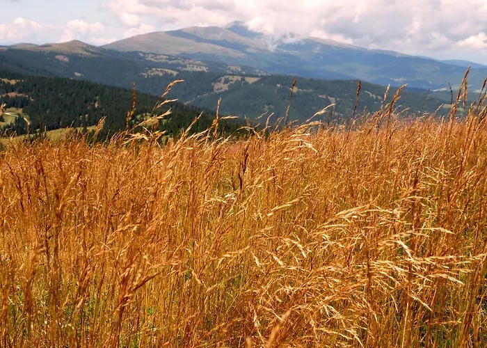بيت للعطل Urlaub Im Zirbenland