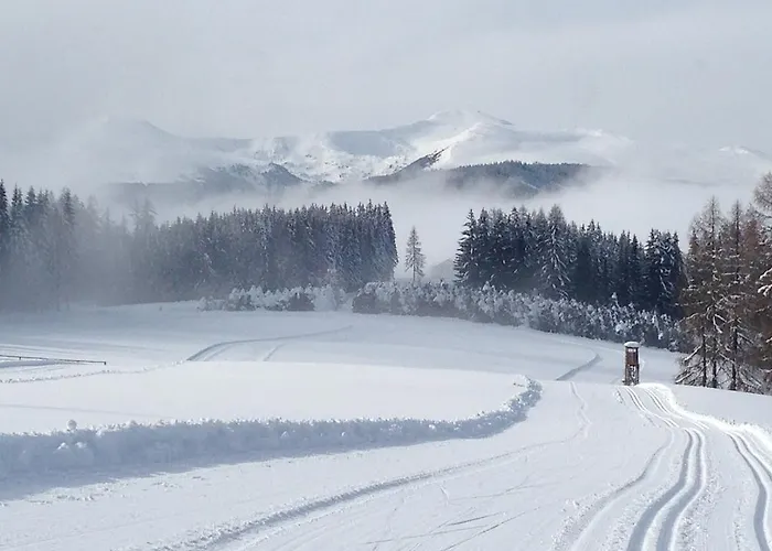 Urlaub Im Zirbenland Obdach